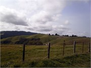04152011_Lori and Rons_20